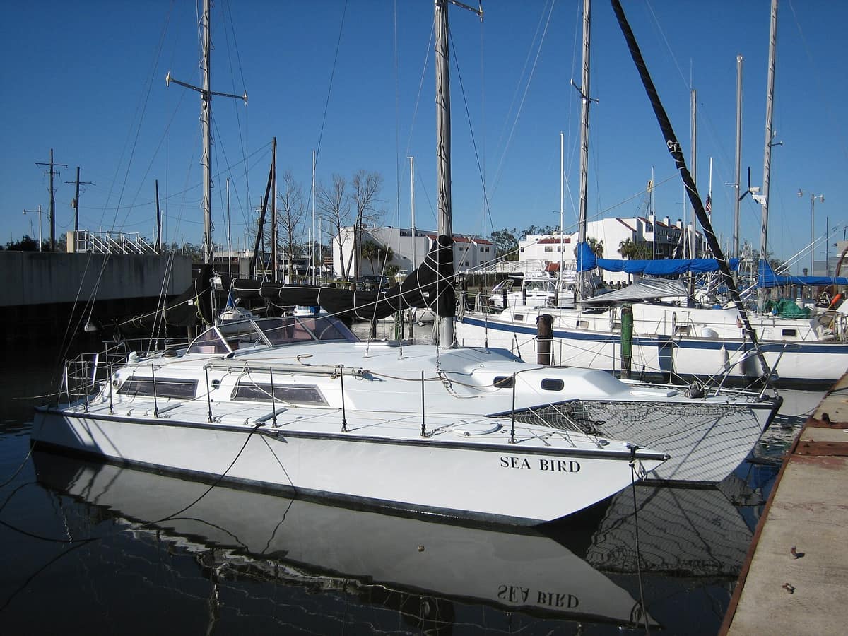 Sailing boats in harbour