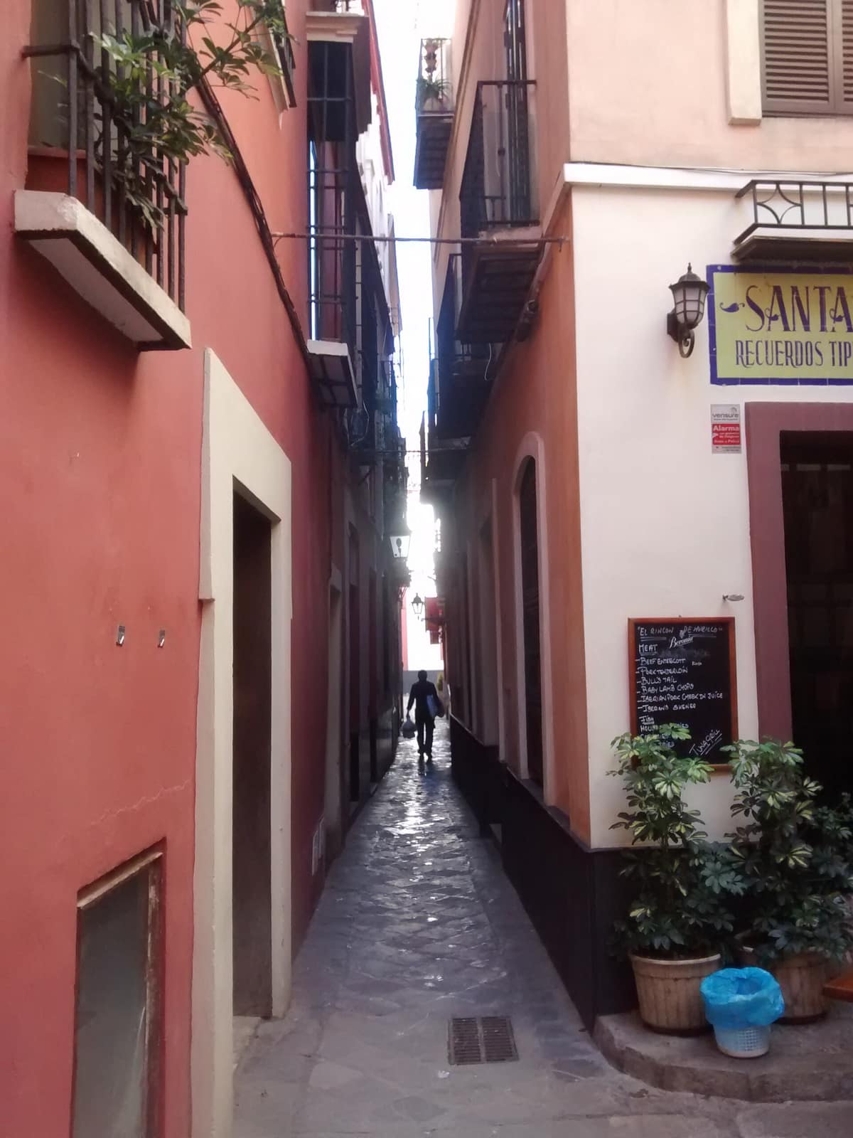The Barrio Santa Cruz, Seville